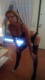 Private Photo of ValentinaTrans75